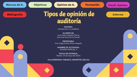 Tipos De Opini N De Auditor A