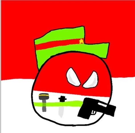 My New Profile Photo Pfp Polandball Amino