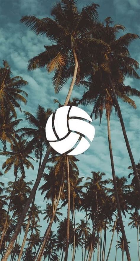 Details Volleyball Wallpaper Aesthetic Latest In Cdgdbentre