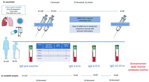 Immune Response and Effects of COVID-19 Vaccination in Patients with