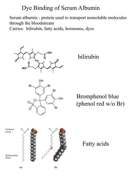 Ppt Dye Binding Of Serum Albumin Powerpoint Presentation Free