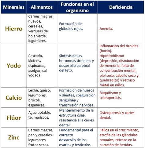 Un Cuadro Comparativo Entre Macronutrientes Y Micronutrientes Porn