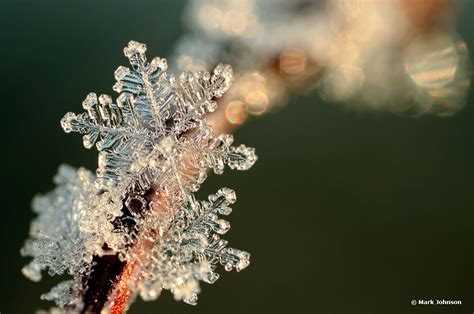 10 Snowflake Photography Ideas to Try in 2024