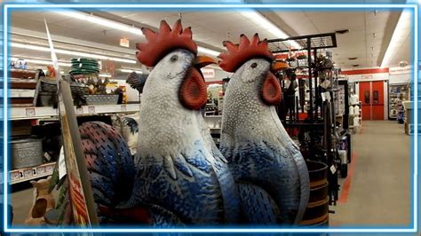 Giant Roosters Invade Tractor Supply Youtube