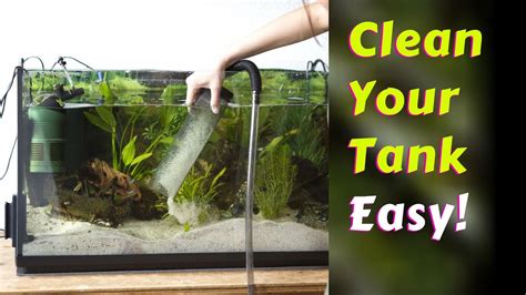 Best Aquarium Vacuum Gravel Cleaner For Easy Cleaning Youtube