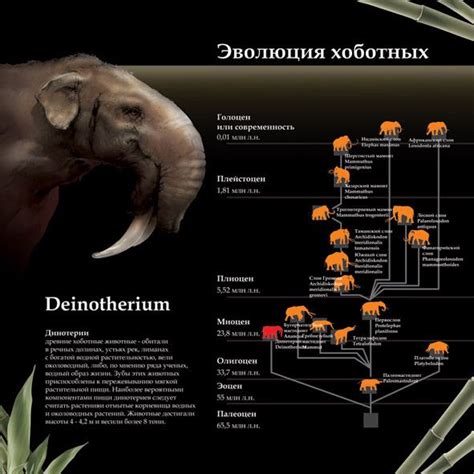 Deinotherium | Prehistoric animals, Megafauna, Prehistoric