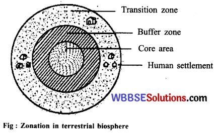 Wbbse Class Life Science Solutions Chapter D Biodiversity And