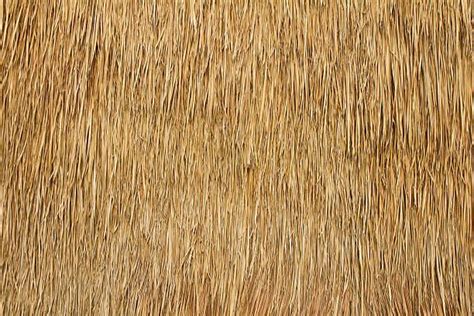 Thatch Roof Texture Seamless