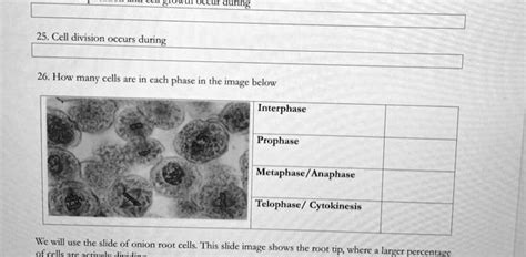 Solved Aurng 25 Cell Division Occurs During 26 How Many Cells Are In