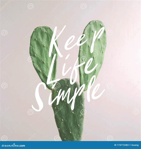 Inspirational Quote `keep Life Simple` Cactus Plant On White