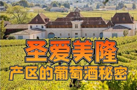 法国波尔多葡萄酒之圣爱美隆产区 全面解读 知乎