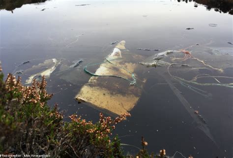 Plastic Bay En Norv Ge Comment La G Ologie D Une Ile Et Les Courants