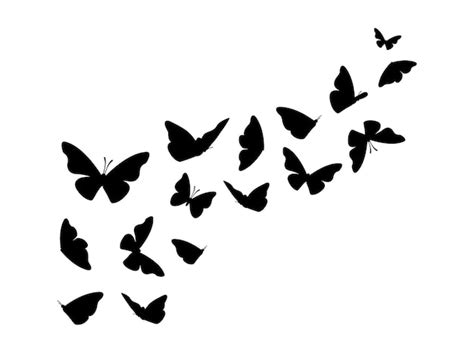 Premium Vector Butterfly Design Black Silhouette Butterflies