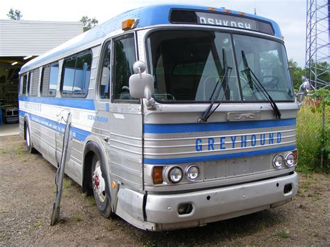 Greyhound Showbus International Bus Image Gallery Usa