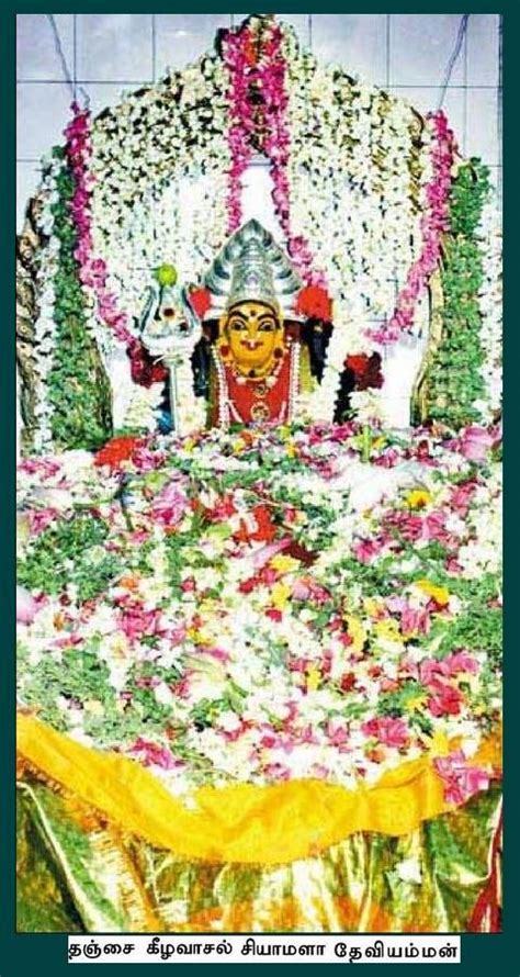 Shyamala Devi Amman Keezhavaasal Thanjavur Pushpa Alankaram Anju