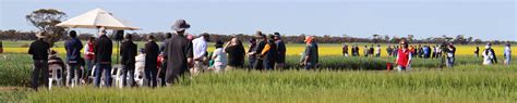 attendees hear latest research  bcg main field day victoria