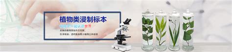 生物玻片的制作方法有四种，你了解哪种呢 新乡市维克科教仪器有限公司