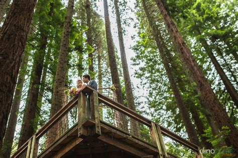 Hoyt Arboretum Redwoods Portland Wedding Photographer