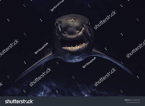 Angry Shark Sharp Teeth Darkness Stock Photo 1312620743 Shutterstock