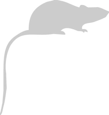 Dead Mouse Vector Art, Icons, and Graphics for Free Download