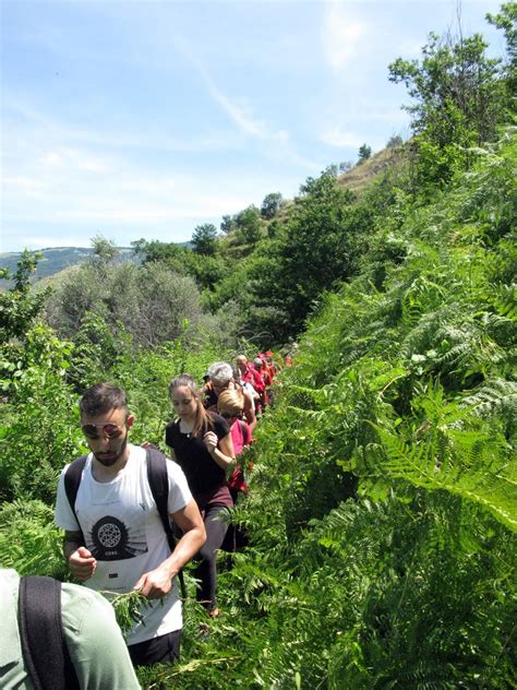 Taburno Trekking Montesarchio Giugno Percorrendo L