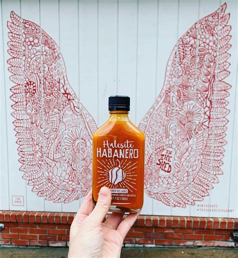 Food critics are raving about the shed huntington ny 1