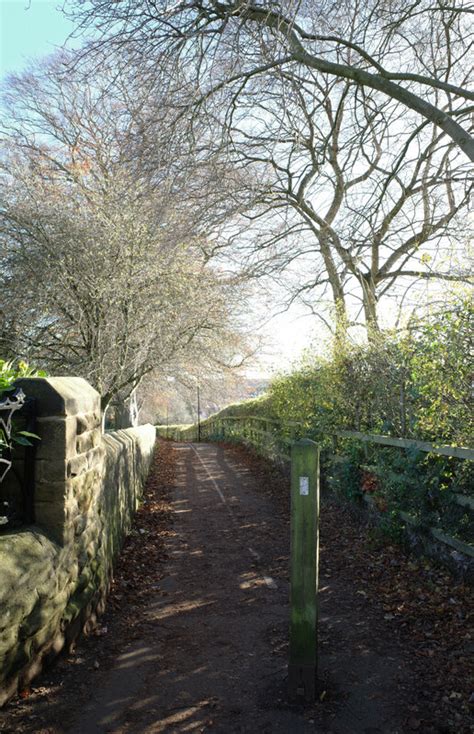 The Path Between The Cemetery And Habiloid Cc By Sa