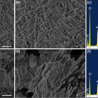 Morphology And Elemental Composition Of The Fiber Samples Sem Image