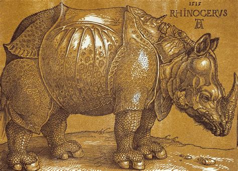 Rhinoceros Albrecht Dürer