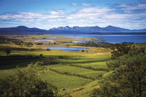 Tasmania Wine Tourism On The Up The Real Review