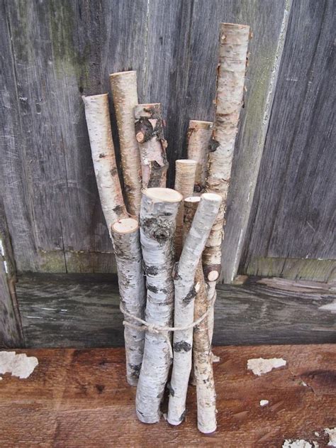 Birch Log Bundle White Birch Branches Birch Wood Sticks Diy