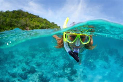 Snorkeling at Menjangan Island | Villa Bossi Bali