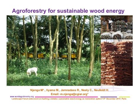 Agroforestry For Sustainable Wood Energy