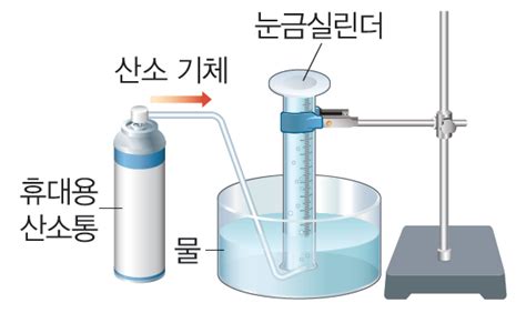 미래엔 엠티처