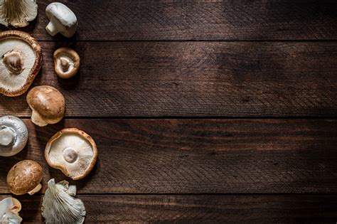 shiitake mushroom pictures   images  unsplash