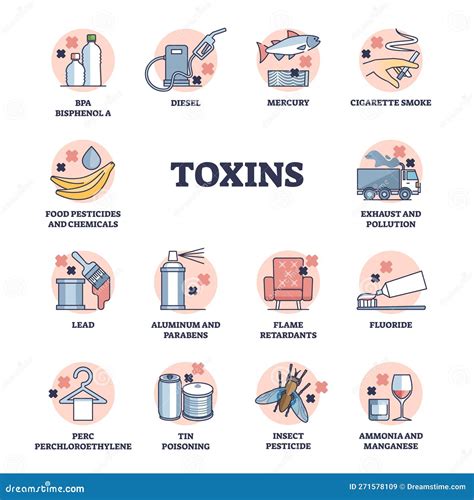 Toxins And Dangerous Chemical Substances For Human Health Outline