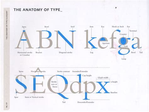 The Anatomy Of Type Type Anatomy Lettering Letter Form