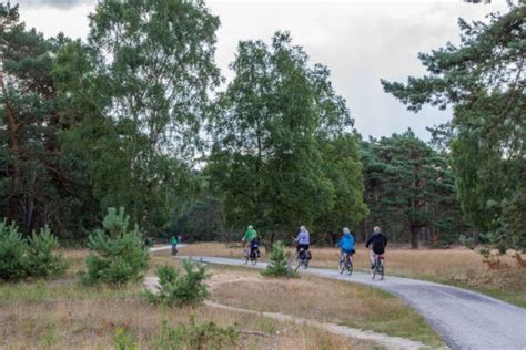 Pedaling the Bike Trails of Hoge Veluwe - Reflections Enroute