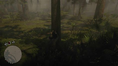 Orquídeas En Red Dead Redemption 2 Todas Las Especies Y Dónde Encontrarlas Guías Y Trucos En