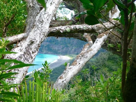 Kermadec Islands Releases Secrets to Visiting Scientists