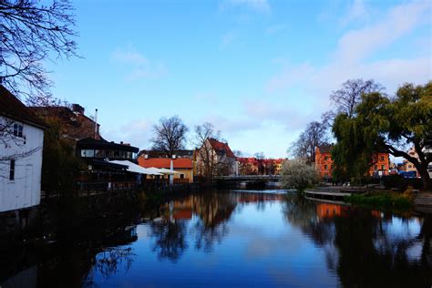 Free Images Tree Water Sky Flower Lake River Canal Cityscape