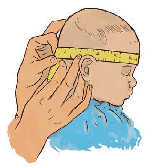 Standardized Technique For Head Circumference Measurement Download Scientific Diagram