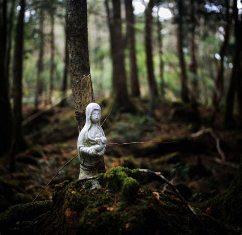 Lista 102 Foto Bosque De Los Suicidas En Japon Aokigahara Actualizar