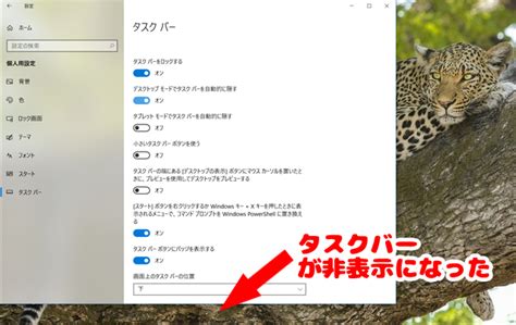 Windows10 デスクトップのタスクバーを非表示にしたり、小さくする方法【所要時間1分】