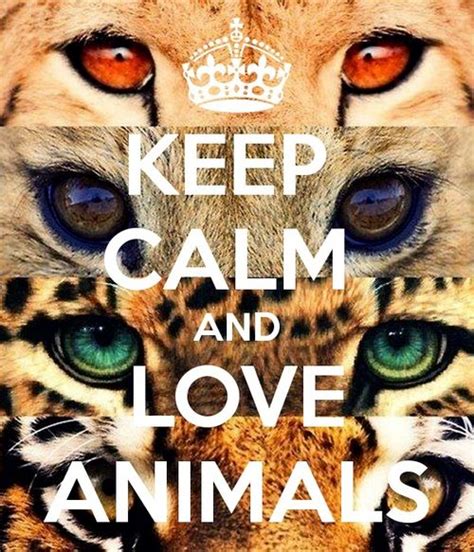 Keep Calm and Love Animals