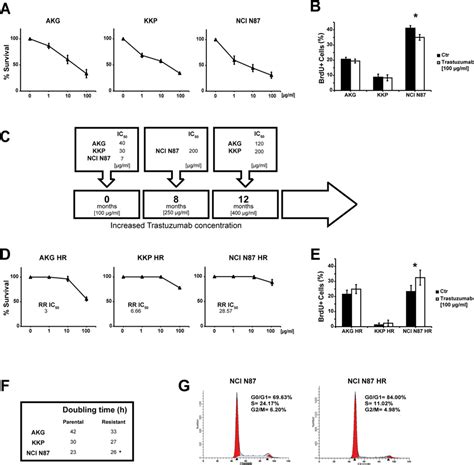 Induction Of Trastuzumab Resistance In Gastric Cancer Cell Lines A Download Scientific