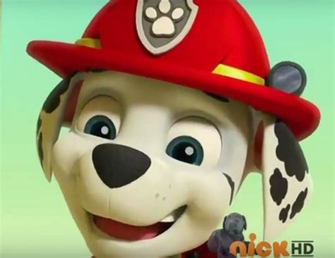 Image Screenshot 2017 03 09 At 100305 Pmpng Paw Patrol Wiki