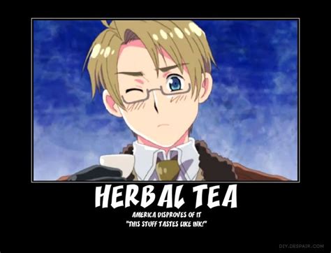 Hetalia America poster | Hetalia america, Hetalia, Nerd culture