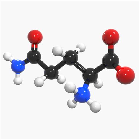 3d max glutamine acid l-glutamine amino