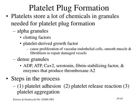 Ppt Chapter 19 The Cardiovascular System The Blood Powerpoint